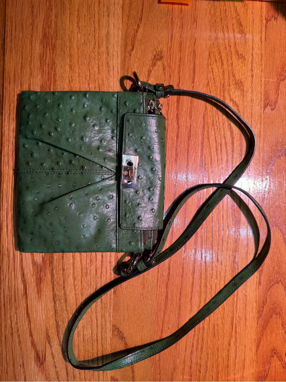 ANTONIO MELANI Crossbody Purse, Green